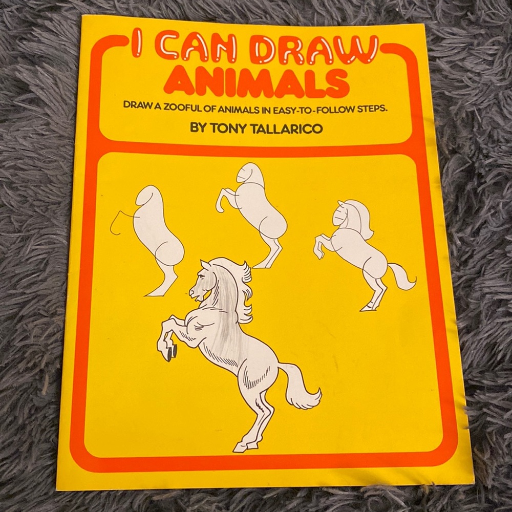 I Can Draw Animals BOOK